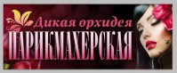 Парикмахерская «Дикая Орхидея»